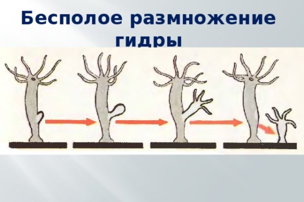 Сайт kraken в tor