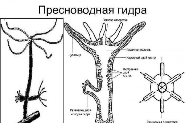 Kraken зеркало kr2web in